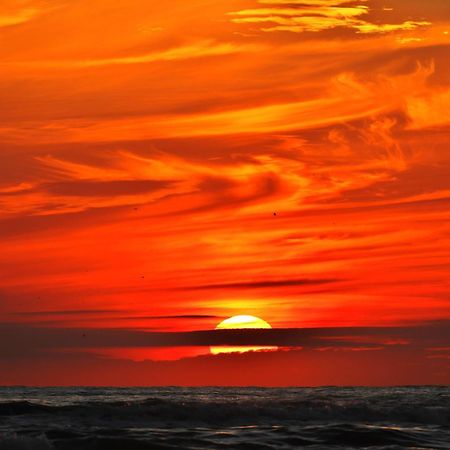 Ferienhaus Geniessen Am Meer Mit Wellnesszugang Egmond aan Zee Buitenkant foto